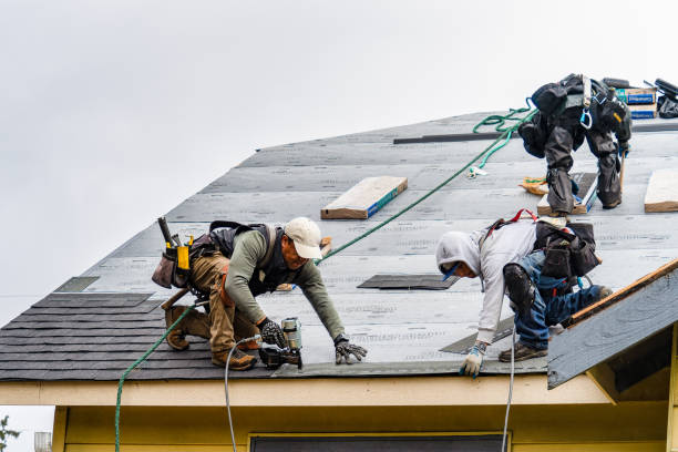 Professional Gutter Installation technician working in Union City, MI
